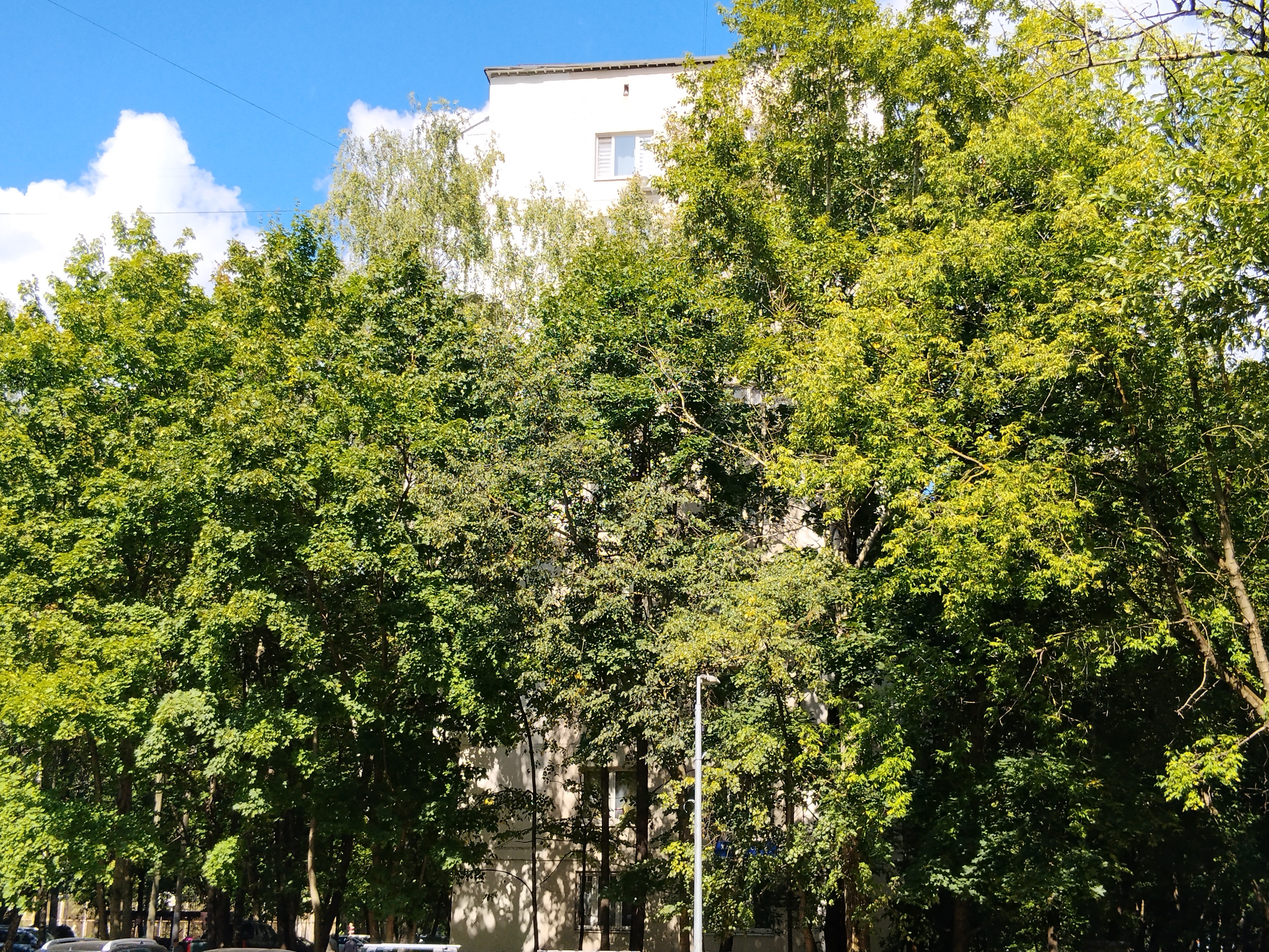 2-комн. квартира на продажу, 45,1 м² · Восточный административный округ, Гольяново, Хабаровская ул., д. 19, корп. 1, Этаж № 2, кв. 41