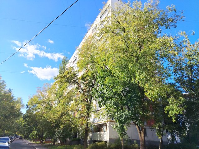 3-комн. квартира на продажу, 65,3 м² · Юго-Восточный административный округ, Ферганская ул., д. 13, корп. 1, Этаж № 1, кв.64