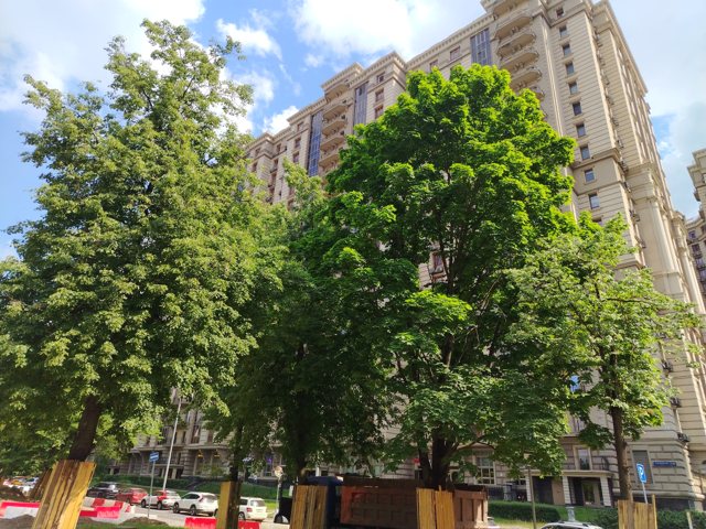 Машино-место на продажу, 10,4 м² · Восточный административный округ, Измайловский проезд, д. 10, корп. 3, Этаж № -1, машино-место 4/198