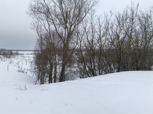 Фото объекта: Росэлторг