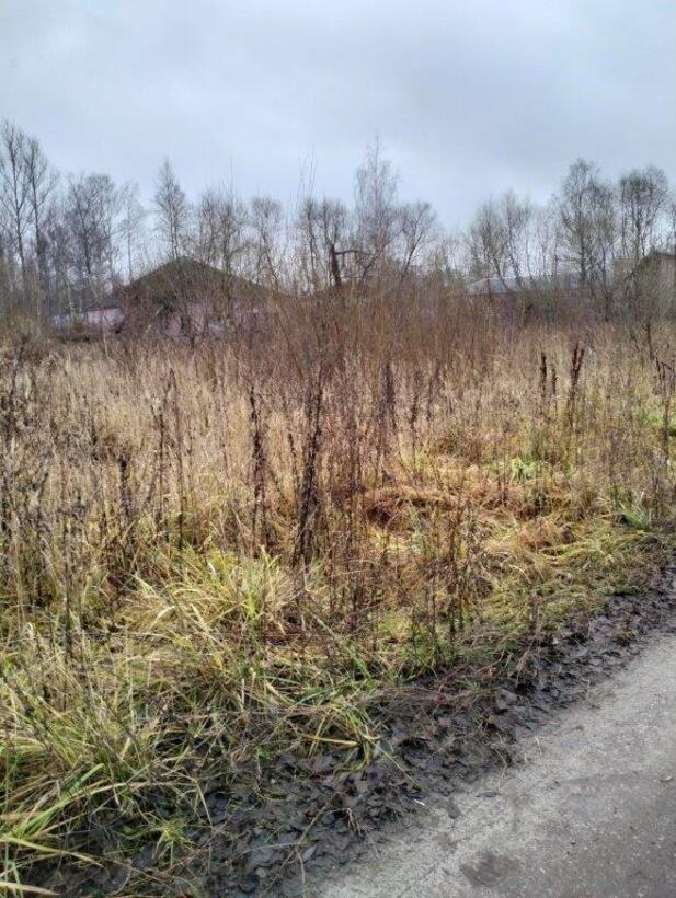 Земельный участок · Площадь не указана