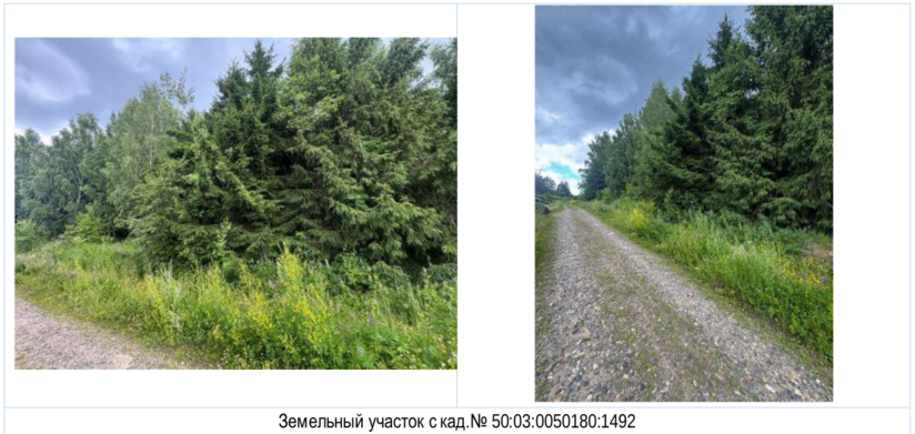 Фото объекта: Росэлторг