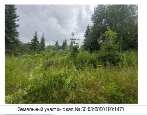 Фото объекта: Росэлторг