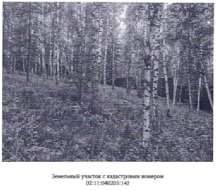Фото объекта: Росэлторг