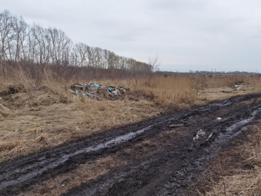 Фото объекта: Росэлторг