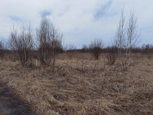 Фото объекта: Росэлторг