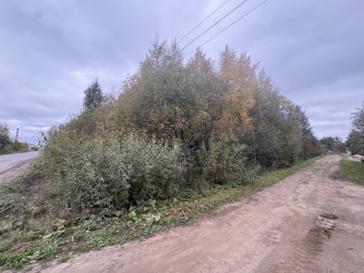 Фото объекта: Росэлторг