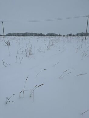 Фото объекта: Росэлторг