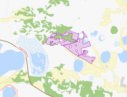 Фото объекта: Росэлторг