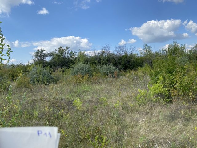 Земельный участок · 10 сот. · обл. Челябинская, г.о. Троицкий, г. Троицк, ул. Рябиновая 11