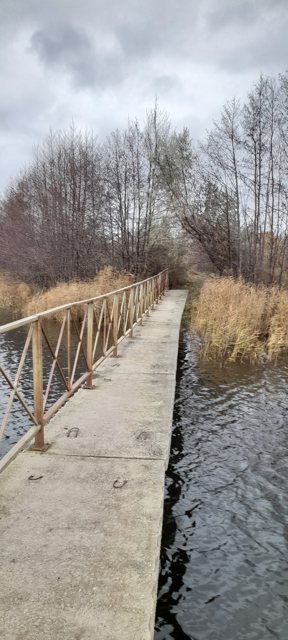 Земельный участок · 23,3526 га · Ульяновская область, Сенгилеевский район, с. Елаур для сельскохозяйственного использования (рыболовство), в границах земельного участка расположен водный объект (Пруд)