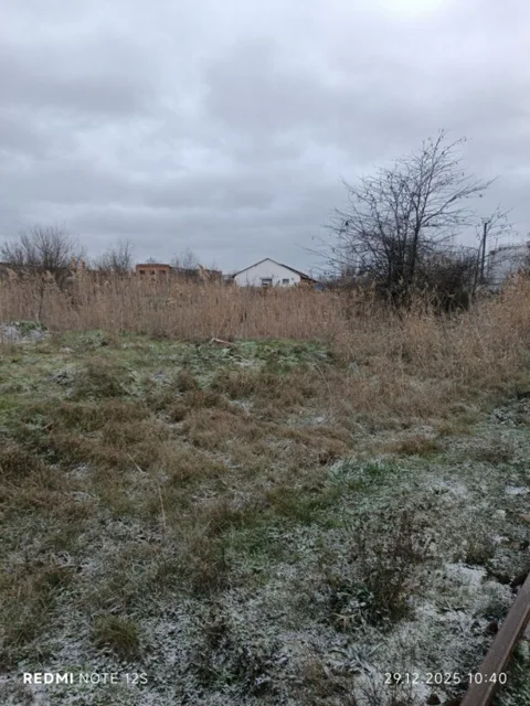 Фото объекта: Росэлторг