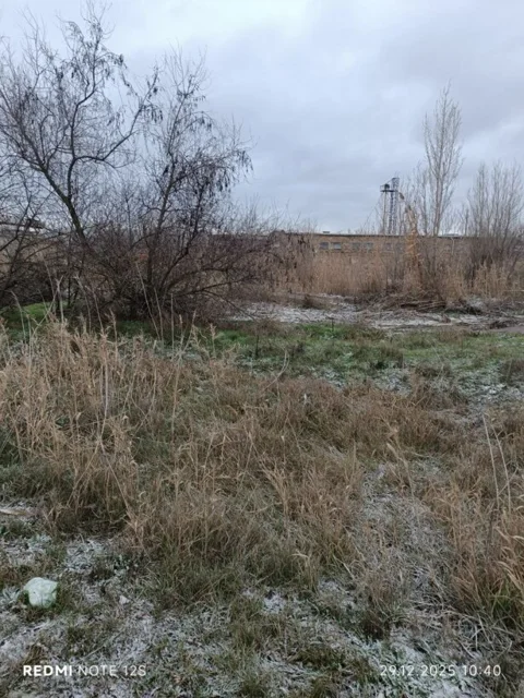 Фото объекта: Росэлторг